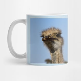 Male African Ostrich Mug